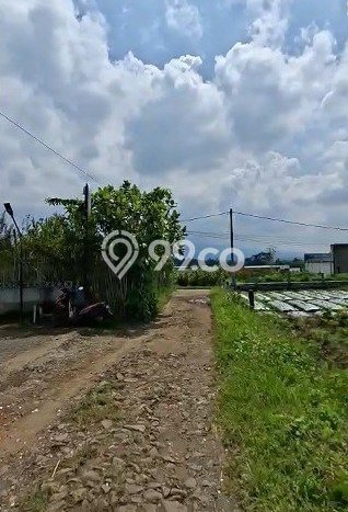 Untuk Dijual Komersial di Dau, Malang Harga Penawaran Spesial Untuk Dijual Komersial di Dau, Malang Harga Penawaran Spesial