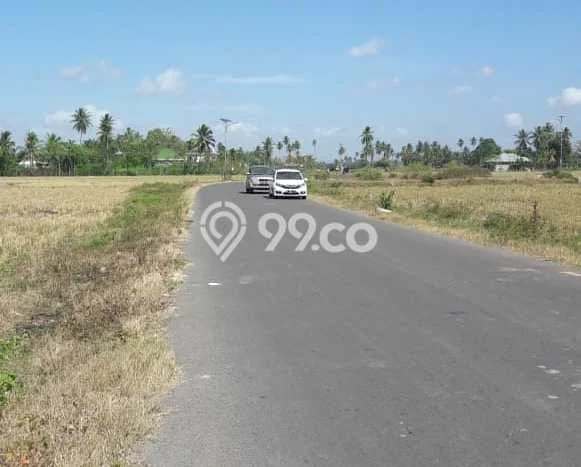 Untuk Dijual Tanah 10000m2 di Gorontalo, Muna Untuk Dijual Tanah 10000m2 di Gorontalo, Muna