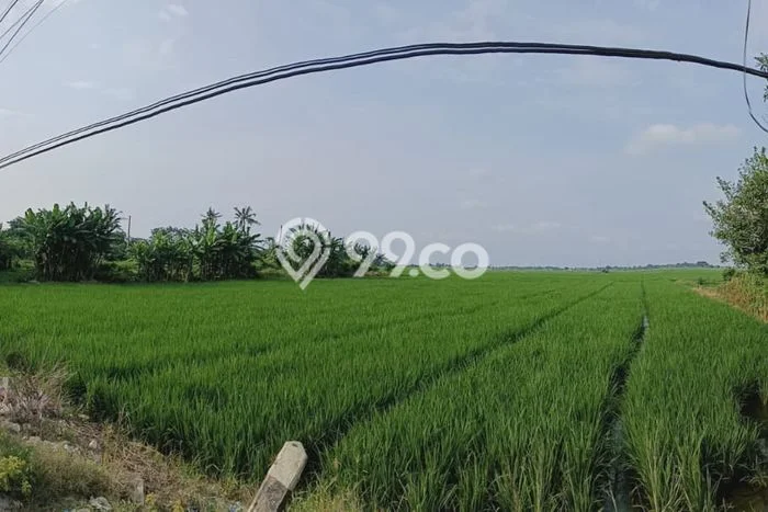 Tanah Dijual Area Strategis di Subang Kota Subang 8302m2 Tanah Dijual Area Strategis di Subang Kota Subang 8302m2