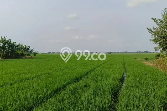 Tanah Dijual Area Strategis di Subang Kota Subang 8302m2 Tanah Dijual Area Strategis di Subang Kota Subang 8302m2