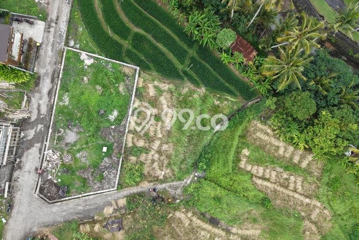 Tanah Kavling Dijual di Cemagi, Badung dengan Luas Tanah 327m2 Tanah Kavling Dijual di Cemagi, Badung dengan Luas Tanah 327m2