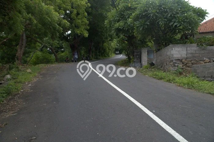 Tanah untuk Dijual Lokasi Banjar, Buleleng Luas 1950m2 SHM Tanah untuk Dijual Lokasi Banjar, Buleleng Luas 1950m2 SHM