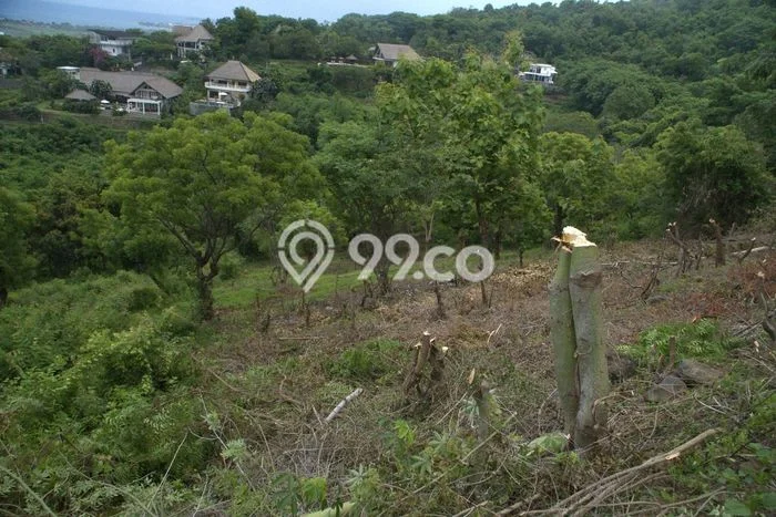 Tanah untuk Dijual Lokasi Banjar, Buleleng Luas 1950m2 SHM Tanah untuk Dijual Lokasi Banjar, Buleleng Luas 1950m2 SHM