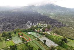 Tanah Kavling untuk Dijual di Kintamani Bangli 800m2 Tanah Kavling untuk Dijual di Kintamani Bangli 800m2