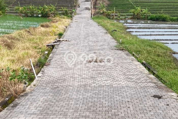 Untuk Dijual Tanah 400m2 di Tibubiyu, Tabanan Untuk Dijual Tanah 400m2 di Tibubiyu, Tabanan
