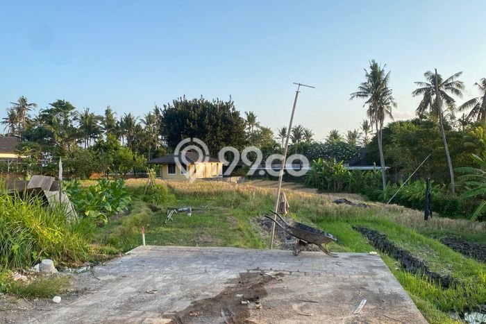 Tanah Dijual di Badung Seluas 445m2 Strategis Tanah Dijual di Badung Seluas 445m2 Strategis