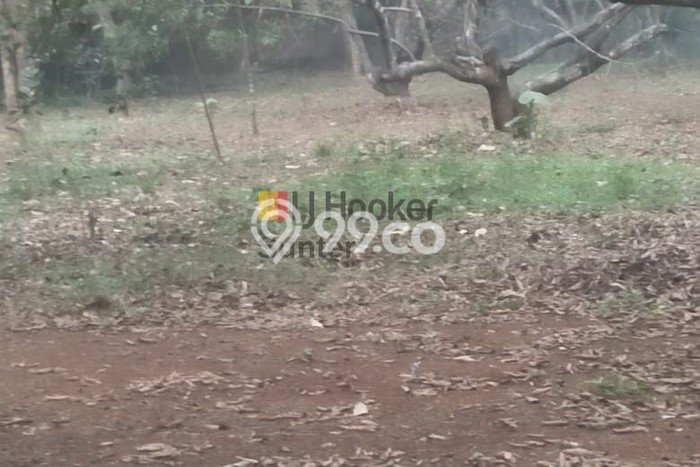 Tanah Kavling Dijual di Purwakarta dengan Spesifikasi 11000m2 Tanah Kavling Dijual di Purwakarta dengan Spesifikasi 11000m2