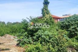 Tanah di Kuta, Badung Luas 3120m2 Dijual Segera Tanah di Kuta, Badung Luas 3120m2 Dijual Segera