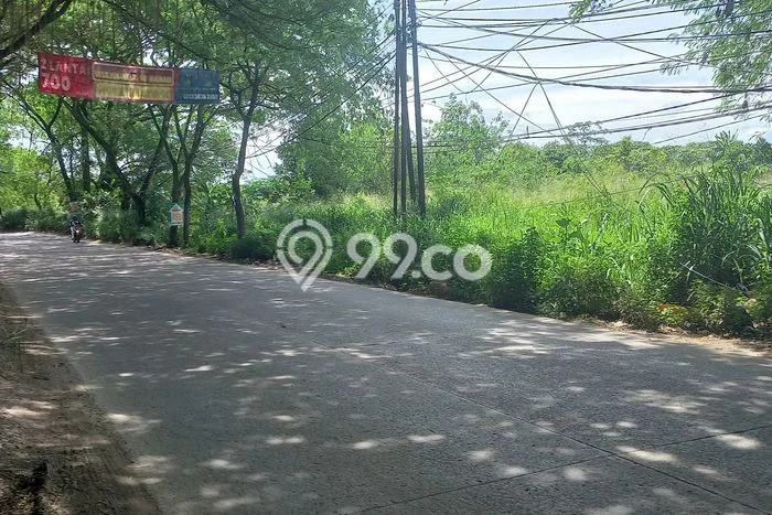 Dijual Tanah di Cisauk Tangerang Luas 330000m2 AJB Dijual Tanah di Cisauk Tangerang Luas 330000m2 AJB