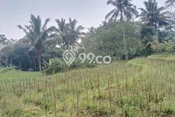 Tanah Kavling di Gunung Pati Dijual dengan Luas 2377m2 Tanah Kavling di Gunung Pati Dijual dengan Luas 2377m2