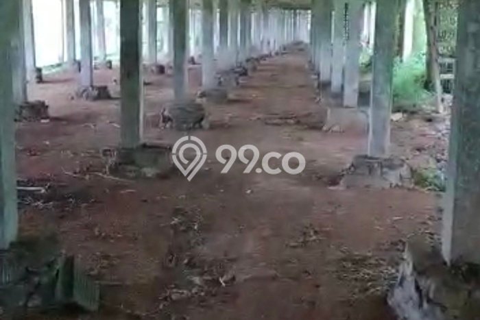 Jarang Ada! Tanah di Limbangan Punya Luas 4683m2 SHM Jarang Ada! Tanah di Limbangan Punya Luas 4683m2 SHM