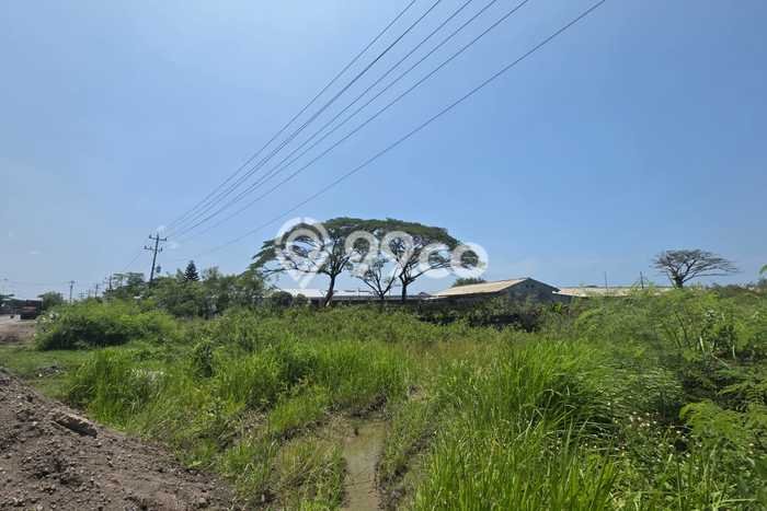 Lahan untuk Dijual di Kaliwungu Semarang Luas 14000m2 Lahan untuk Dijual di Kaliwungu Semarang Luas 14000m2