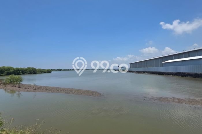 Tanah Dijual Lokasi Kaliwungu, Semarang Luas 150000m2 Legalitas Aman Tanah Dijual Lokasi Kaliwungu, Semarang Luas 150000m2 Legalitas Aman