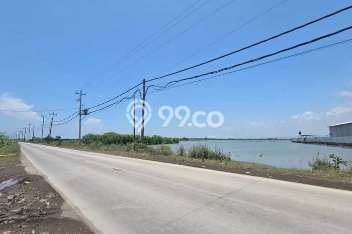 Tanah Dijual Lokasi Kaliwungu, Semarang Luas 150000m2 Legalitas Aman Tanah Dijual Lokasi Kaliwungu, Semarang Luas 150000m2 Legalitas Aman