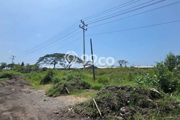 Lahan untuk Dijual di Kaliwungu Semarang Luas 14000m2 Lahan untuk Dijual di Kaliwungu Semarang Luas 14000m2