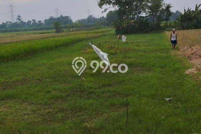 Kavling Tanah di Bantul Dijual Luas 1507m2 Legalitas SHM Kavling Tanah di Bantul Dijual Luas 1507m2 Legalitas SHM