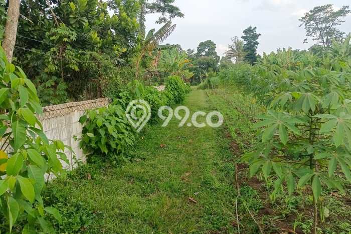 Tanah Dijual Area Strategis di Padalarang Bandung 4131m2 Tanah Dijual Area Strategis di Padalarang Bandung 4131m2