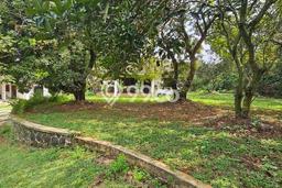 Tanah Dijual Area Strategis di Depok II Depok 5300m2 Tanah Dijual Area Strategis di Depok II Depok 5300m2