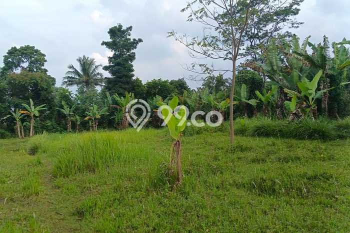 Tanah Dijual Area Strategis di Padalarang Bandung 4131m2 Tanah Dijual Area Strategis di Padalarang Bandung 4131m2