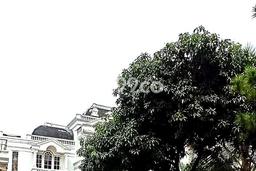 JUAL CEPAT! Rumah Ready Stock Area Strategis Kota Wisata, LT 450m² LB 400m² JUAL CEPAT! Rumah Ready Stock Area Strategis Kota Wisata, LT 450m² LB 400m²