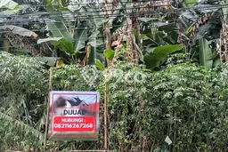 Tanah Dijual Lokasi Cinere, Depok Luas 812m2 Legalitas Aman Tanah Dijual Lokasi Cinere, Depok Luas 812m2 Legalitas Aman