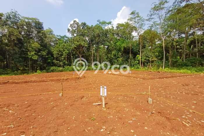 Tanah Kavling untuk Dijual di Gunung Pati Semarang 120m2 Tanah Kavling untuk Dijual di Gunung Pati Semarang 120m2