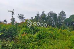 Tanah Komersial Dijual di Rumpin Bogor 10000m2 Tanah Komersial Dijual di Rumpin Bogor 10000m2