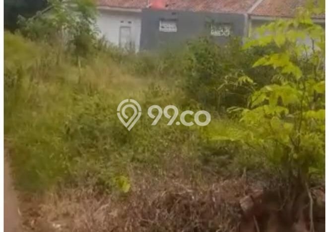 Tanah Investasi Dijual di Subang Punya Luas 2368m2 Tanah Investasi Dijual di Subang Punya Luas 2368m2