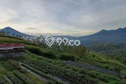 Tanah Komersial Dijual di Samarang Garut 175000m2 Tanah Komersial Dijual di Samarang Garut 175000m2
