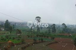 Kavling Tanah Dijual di Ciwidey, Bandung, Luas 1850m2 Area Strategis Kavling Tanah Dijual di Ciwidey, Bandung, Luas 1850m2 Area Strategis