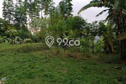 Tanah Dijual Area Strategis di Hegarmanah Bandung 1517m2 Tanah Dijual Area Strategis di Hegarmanah Bandung 1517m2