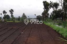 Jarang Ada! Tanah di Cimahi Utara Punya Luas 1450m2 SHM Jarang Ada! Tanah di Cimahi Utara Punya Luas 1450m2 SHM