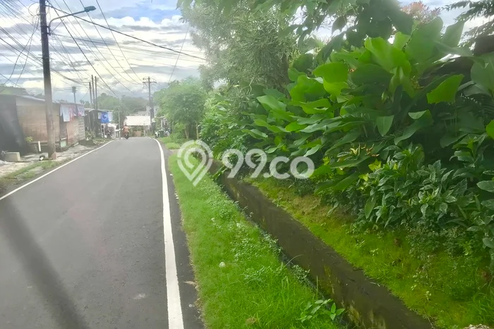 Tanah Siap Bangun Dijual di Badung Punya Luas 1000m2 Tanah Siap Bangun Dijual di Badung Punya Luas 1000m2