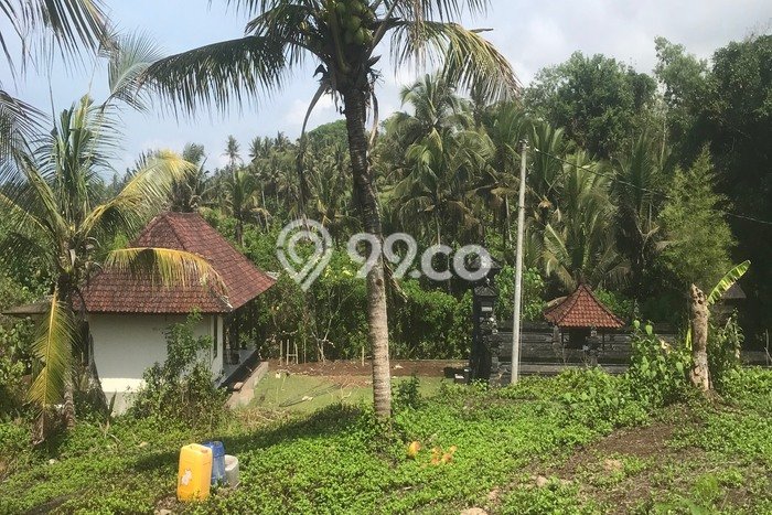 Kavling Tanah untuk Dijual di Lalanglinggah, Tabanan, Luas 2000m2 Kavling Tanah untuk Dijual di Lalanglinggah, Tabanan, Luas 2000m2