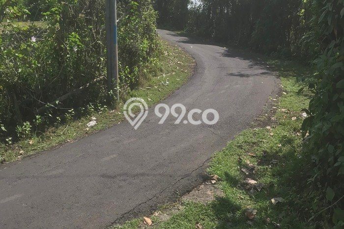 Kavling Tanah untuk Dijual di Lalanglinggah, Tabanan, Luas 2000m2 Kavling Tanah untuk Dijual di Lalanglinggah, Tabanan, Luas 2000m2