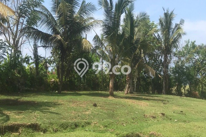 Tanah Kavling Dijual di Lalanglinggah, Tabanan dengan Luas Tanah 29800m2 Tanah Kavling Dijual di Lalanglinggah, Tabanan dengan Luas Tanah 29800m2