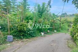 Kavling Tanah Dijual di Kediri Tabanan Spesifikasi 200m2 Kavling Tanah Dijual di Kediri Tabanan Spesifikasi 200m2