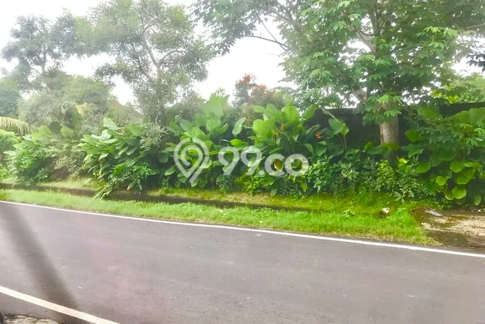 Tanah Siap Bangun Dijual di Badung Punya Luas 1000m2 Tanah Siap Bangun Dijual di Badung Punya Luas 1000m2