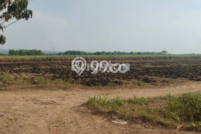 Tanah Komersial Kawasan Trowulan, Luas 18295m2m², Akses Mudah Tanah Komersial Kawasan Trowulan, Luas 18295m2m², Akses Mudah
