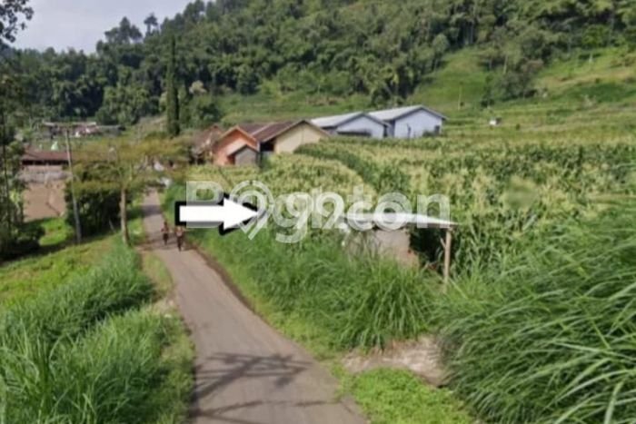 Tanah Premium Kawasan Bumiaji, Luas 1004m2m², Ideal untuk Perumahan Tanah Premium Kawasan Bumiaji, Luas 1004m2m², Ideal untuk Perumahan