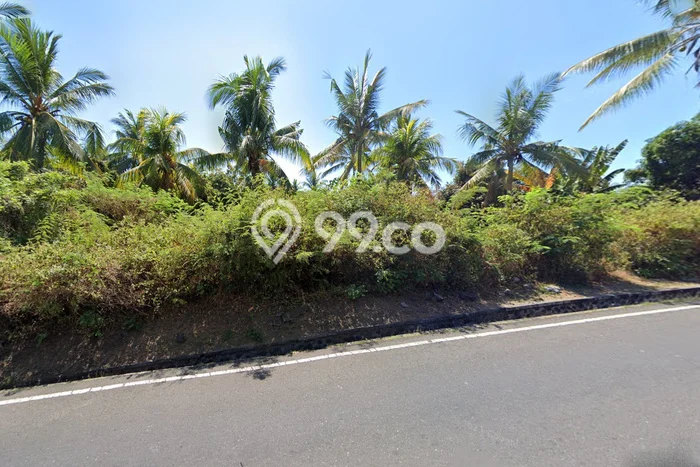 Tanah Kavling Dijual di Buleleng dengan Spesifikasi 15900m2 Tanah Kavling Dijual di Buleleng dengan Spesifikasi 15900m2