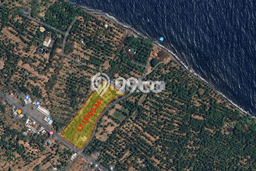 Tanah Kavling Dijual di Buleleng dengan Spesifikasi 13100m2 Tanah Kavling Dijual di Buleleng dengan Spesifikasi 13100m2