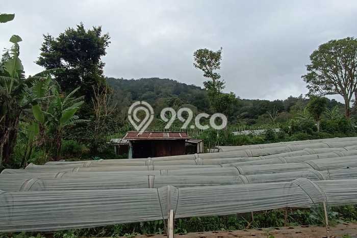Untuk Dijual Tanah di Buleleng, Luas 98300m2 SHM Untuk Dijual Tanah di Buleleng, Luas 98300m2 SHM