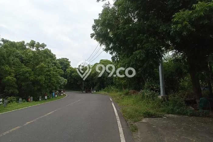 Tanah Kavling Dijual di Buleleng dengan Spesifikasi 54300m2 Tanah Kavling Dijual di Buleleng dengan Spesifikasi 54300m2