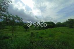 Tanah Komersial Dijual di Tulamben Karangasem 2100m2 Tanah Komersial Dijual di Tulamben Karangasem 2100m2