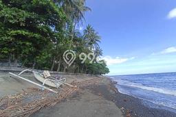 Tanah Dijual Area Strategis di Tembok Buleleng 8700m2 Tanah Dijual Area Strategis di Tembok Buleleng 8700m2