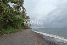 Tanah Dijual di Buleleng Seluas 21000m2 Strategis Tanah Dijual di Buleleng Seluas 21000m2 Strategis