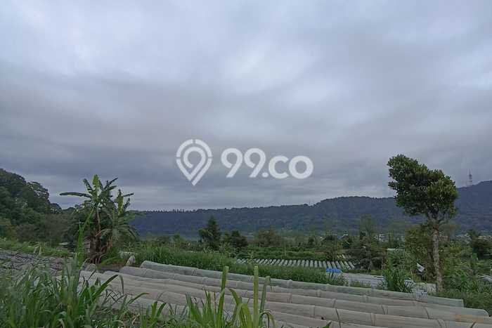Untuk Dijual Tanah di Buleleng, Luas 98300m2 SHM Untuk Dijual Tanah di Buleleng, Luas 98300m2 SHM