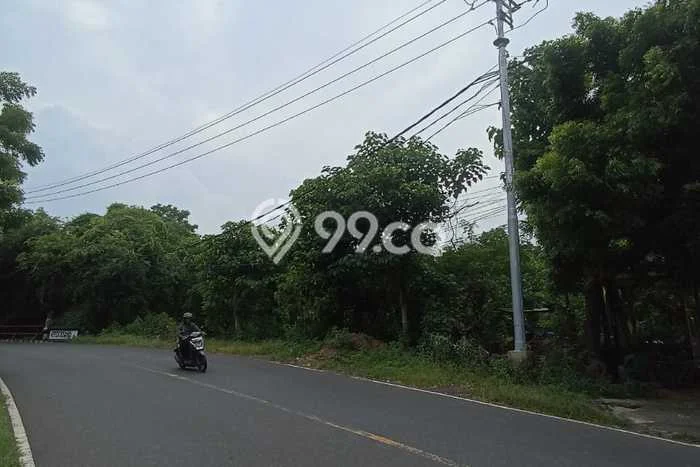 Tanah Kavling Dijual di Buleleng dengan Spesifikasi 54300m2 Tanah Kavling Dijual di Buleleng dengan Spesifikasi 54300m2