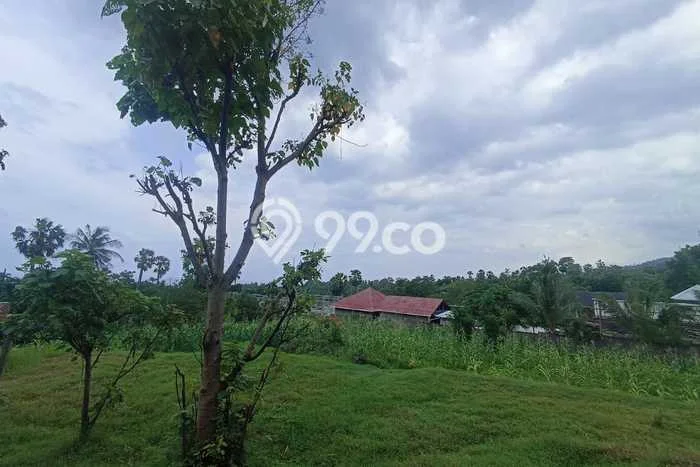 Jarang Ada! Tanah di Tejakula Punya Luas 500000m2 SHM Jarang Ada! Tanah di Tejakula Punya Luas 500000m2 SHM